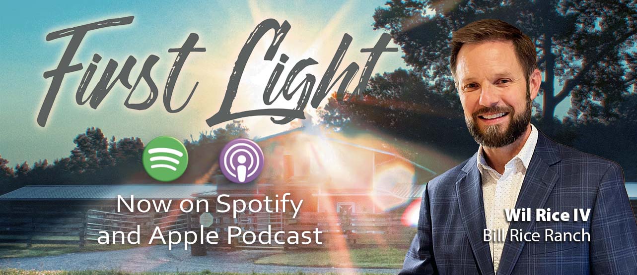 2024 First Light Email Banner