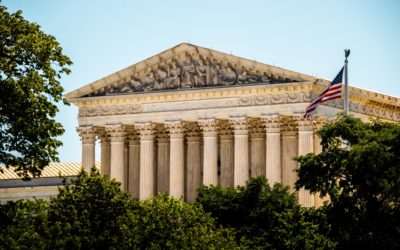 Roe Is Gone. Now What?