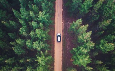 What Drives Your Life? Lessons from Ruth Part 1