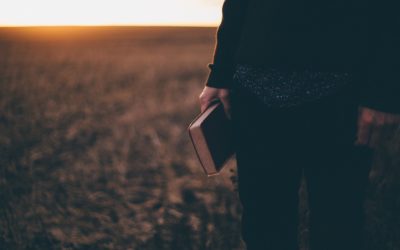 Who Is Jesus Looking For?